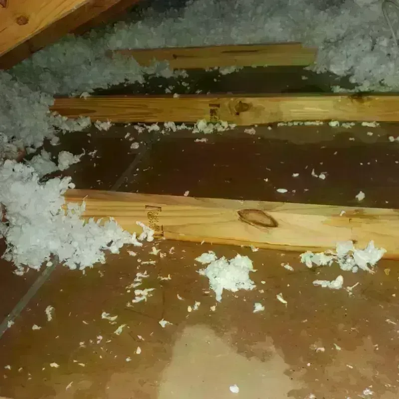 Attic Water Damage in Garrett, IN